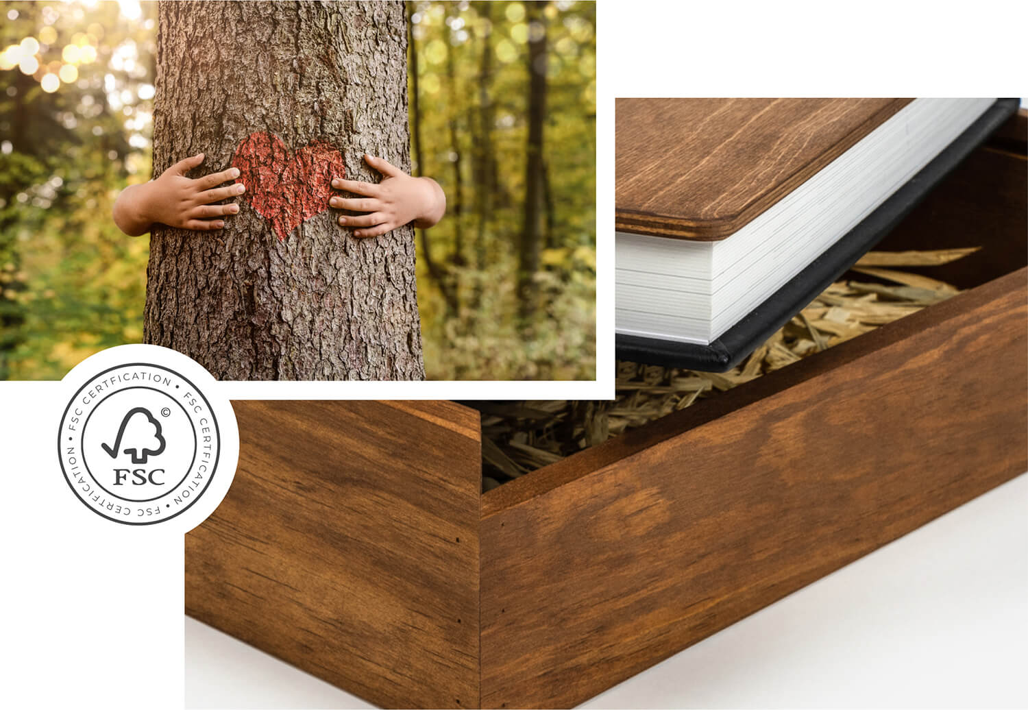 Catálogo de Revestimentos